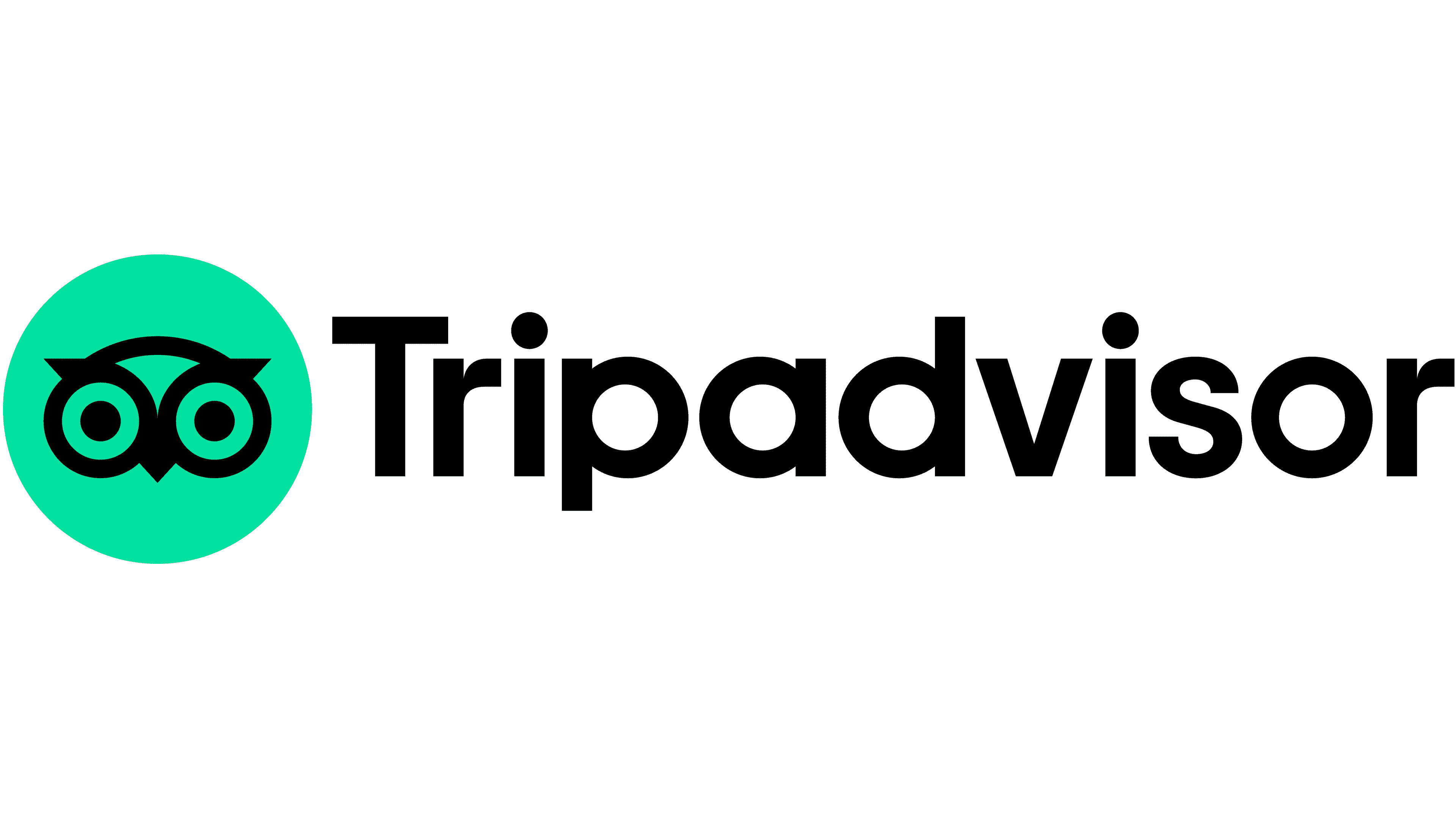 letzi logo of tripadvisor connection
